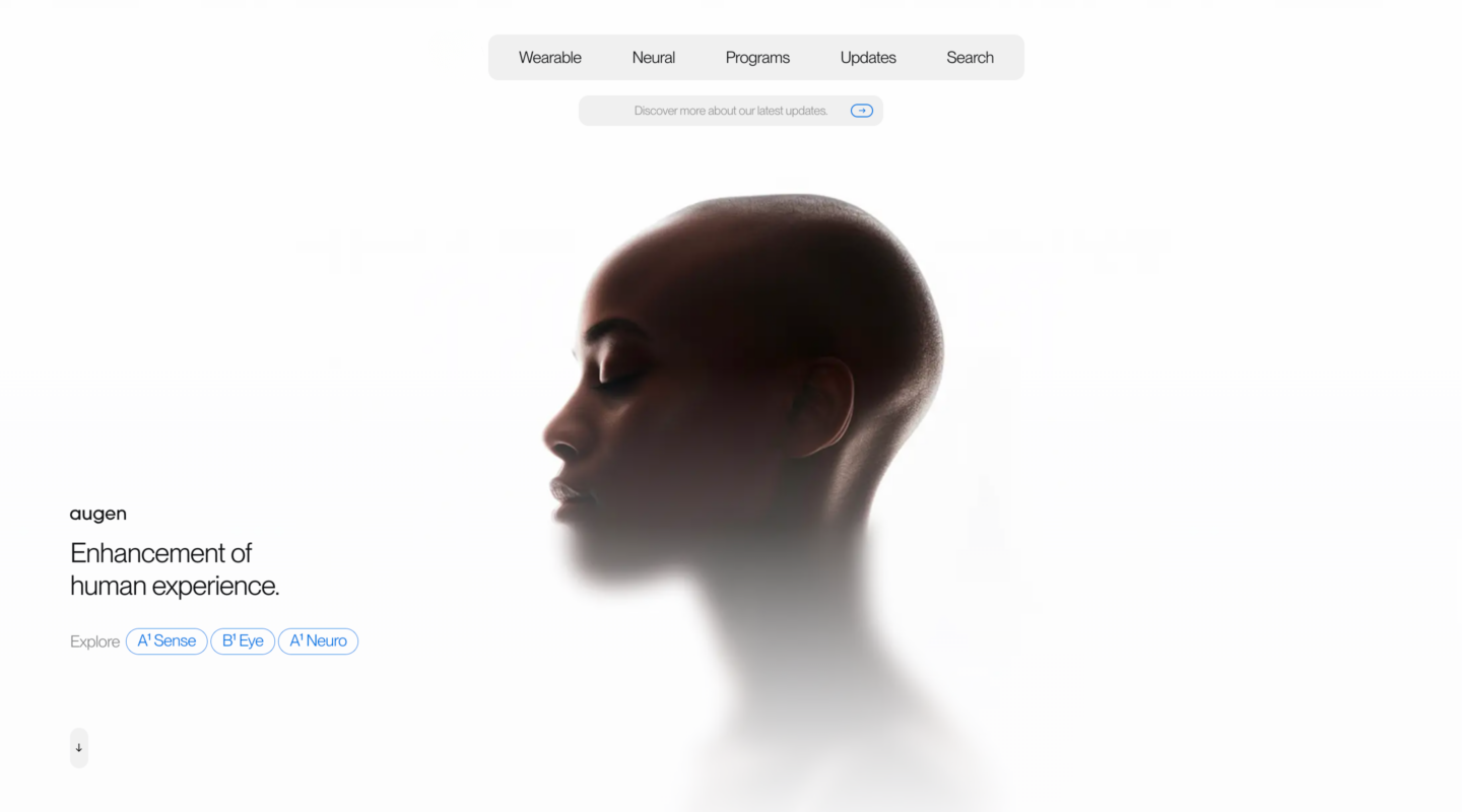 Browser mockup showcasing web design